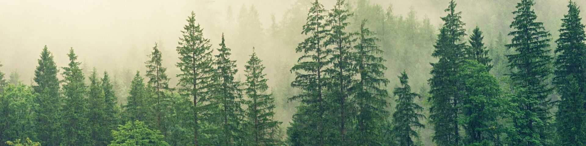 Testseite der Gundula Wessel Bibliothek